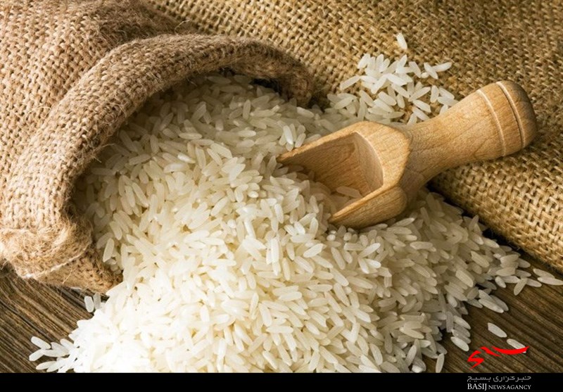 ۷۰۰ مهندس کشاورزی در عرصه خودکفایی برنج به‌کارگیری می‌شوند