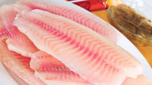 ماهی تیلاپیا سرطان زا است/تزریق گاز منوکسیدکربن در ماهی تیلاپیا