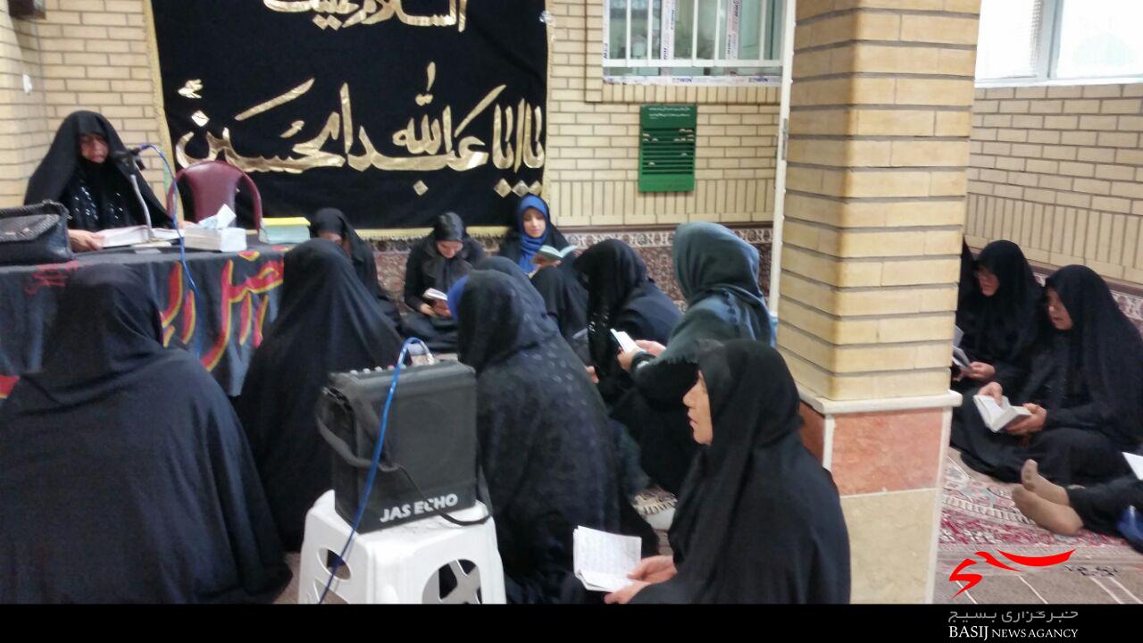 مراسم عزاداری روزهای پایانی صفر در باغ  ایرانیان گوهردشت برگزار شد