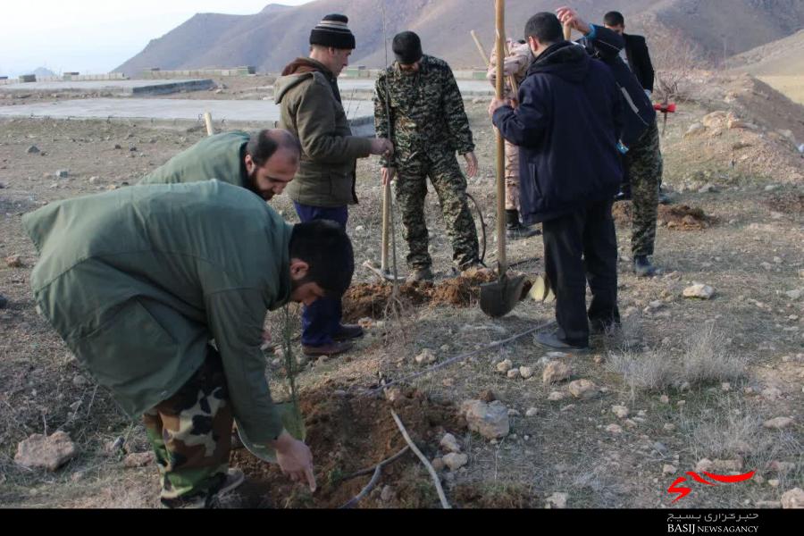 کاشت ۶۰۰ اصله درخت توسط بسیج سازندگی سپاه ناحیه نظرآباد