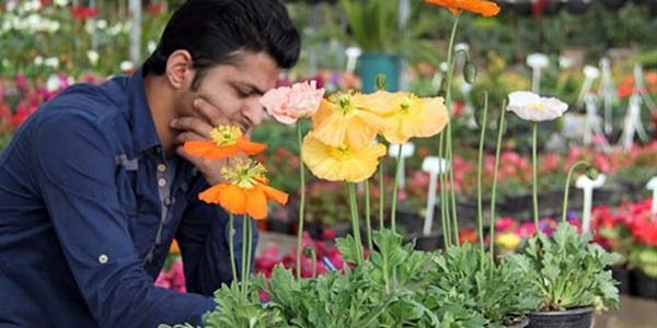 فروش 15 هزار تومانی هر شاخه‌گل رُز در بوشهر/ گل ها از کورس گرانی عقب نماندند