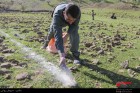 برگزاری کلاس های آموزشی با هدف کسب و کار/باز شدن پای ماهواره در روستای «میدان بزرگ»/فقر فرهنگی بیداد می کند/ بخشی از هزینه کاغذبازی های اداری را صرف مناطق محروم کنید/ واکسیناسیون 2 هزار رأس دام و 500 طیور در روستای «میدان بزرگ» برگزاری کلاس های آموزشی با هدف کسب و کار/باز شدن پای ماهواره در روستای «میدان بزرگ»/فقر فرهنگی بیداد می کند/ بخشی از هزینه کاغذبازی های اداری را صرف مناطق محروم کنید/ واکسیناسیون 2 هزار رأس دام و 500 طیور در روستای «میدان بزرگ»