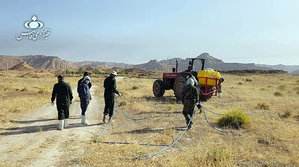 جهاد علیه هجوم ملخ‌های صحرایی در اراضی ورودی بوشهر