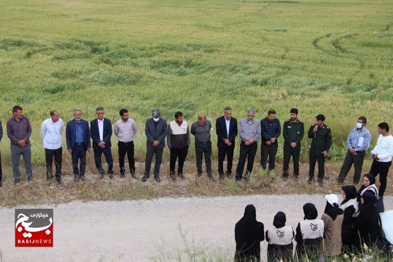 ارایه آموزش های نوین زراعت به 1400 کشاورز باشتی در طرح بسیج همگام با کشاورز