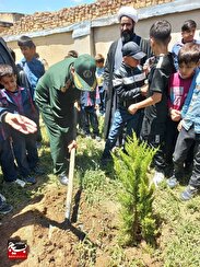 برگزاری یادواره شهید معلم، منوچهر مهر پور و درختکاری به یاد آن شهید+گزارش تصویری