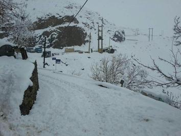 بارش برف در روستای اسکول دره بخش چندار ساوجبلاغ /عکس از رحیم سلطانیها 
