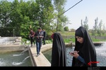 بازدید خبرنگاران آذربایجان شرقی از استخرهای پرورش ماهی 