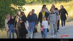 همایش پیاده روی خانوادگی در سامان