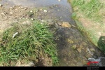 رودخانه جاری شده از ساری کهریز در هریس