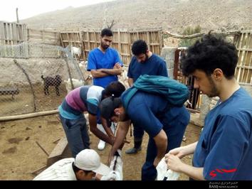 اردوی جهادی بسیجیان دامپزشکی البرز به مناطق محروم هرمزگان به روایت تصاویر
