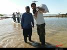 خدمت رسانی دانشجویان جهادگر البرزی به مناطق سیل زده خوزستان