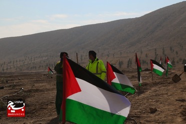 کاشت نهال به یاد شهدای فلسطین در قم

عکس از هدی حاج‌غفاری