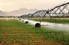 پروژه سیستم آبیاری نوین در ۱۰۰ هکتار زمین زراعی میامی افتتاح شد