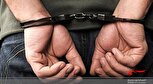 کلاهبردار ۲۰ هزار میلیارد تومانی به ایران بازگردانده شد