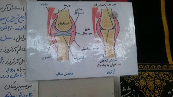 آگاه سازی معلولیت‌های میانسالی و سالمندان