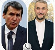آمادگی ایران برای مساعدت به نشست اکو