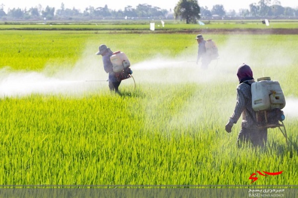 کم‌آبی کشاورزی استان اردبیل را تهدید می‌کند